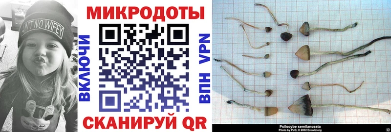 MEGA сайт  Тимашёвск  Псилоцибиновые грибы Magic Shrooms 